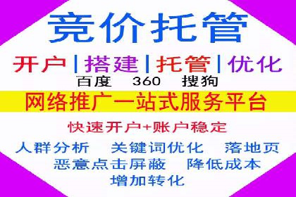 SEM服务优势案例分享